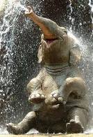 Elephent