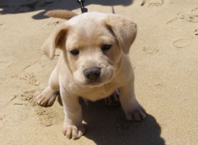 cute