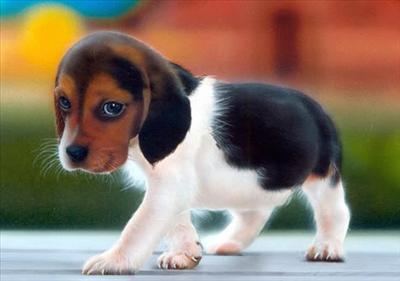 cute 