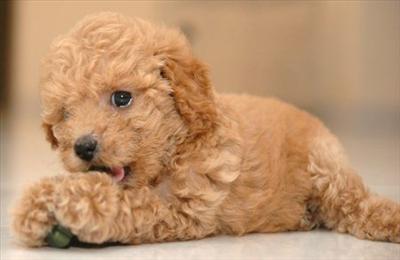cute
