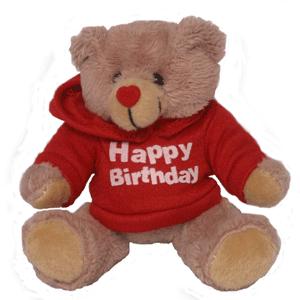 Happy Birthday Teddy Bear