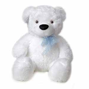 White Teddy Bear
