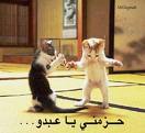 مهييس جدا