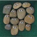 Pet Rock