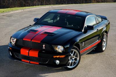 Mustang shelby
