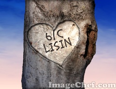 6/C lisin