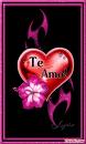 amor