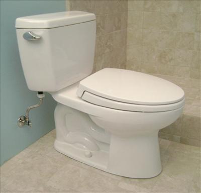 clean a toilet
