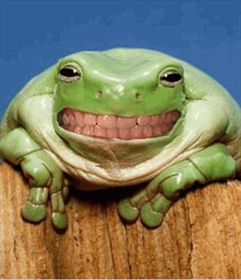 Žába
