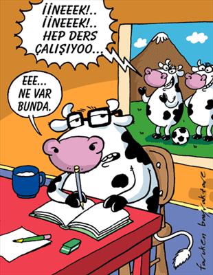 inek gibiyim