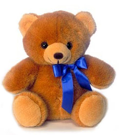 Orsacchiotto peluche