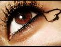 brown heart eye