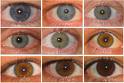 many eyes