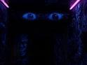 haunted eyes