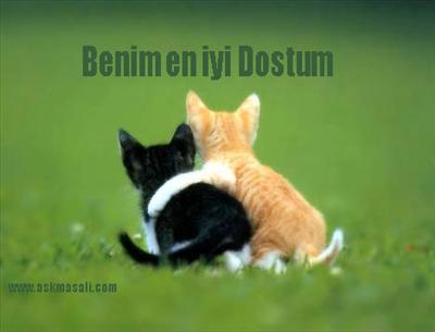 dostum