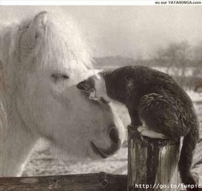 best friends