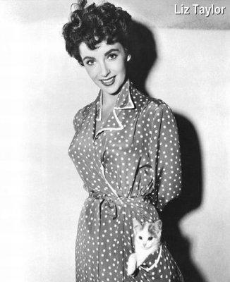 Liz Taylor with kitten in her pocket