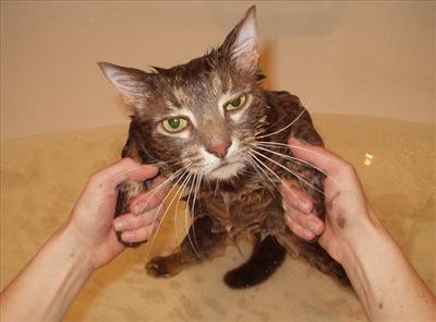 now I'm soaked, feel better? 