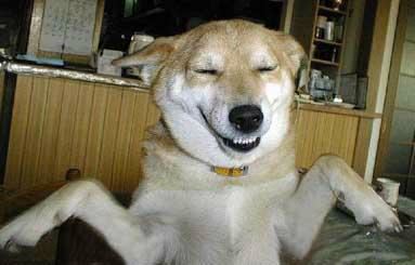 goofy grin
