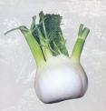 Finocchio