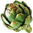 Carciofo