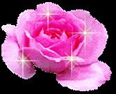 Your Beauty Shining more than This Flower