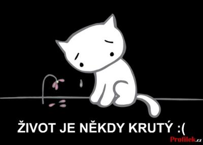 Nechce tě.:(