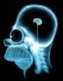 stupido/a