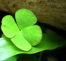 Lucky