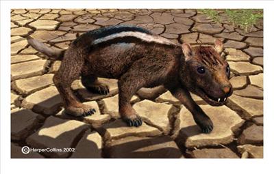 Didelphodon