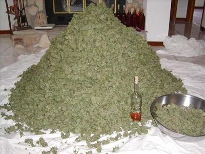 a ton of weed