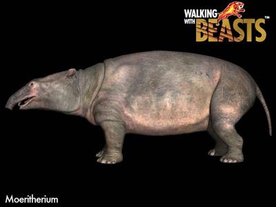 Moeritherium