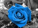bello/a