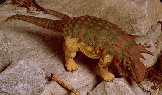 Battat Edmontonia
