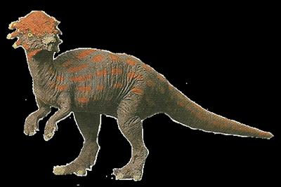 Battat Pachycephalosaurus
