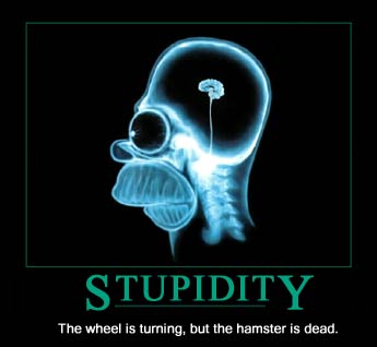 Stupido