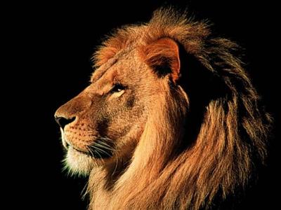 Aslan