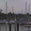 Harbor
