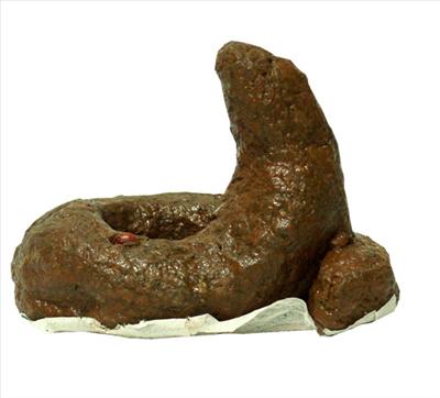 Caca