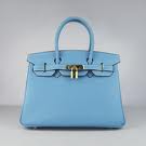 Cute Blue Purse