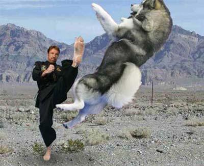 Dobrý,Chuck Norris