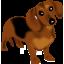 Doggy