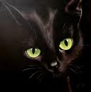 Pas chanceux =(