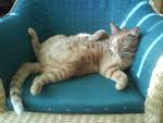 Relax/ Cool
