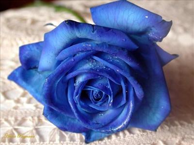 BLUE (UNIQUE)