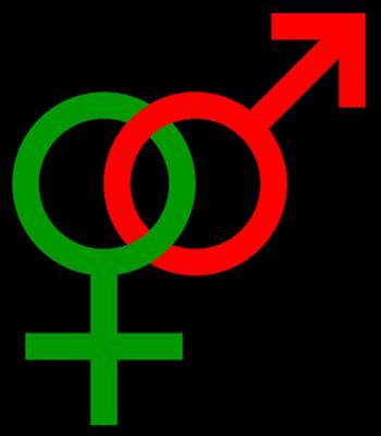 Hetero