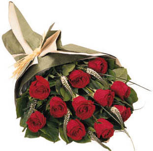 Red Rose