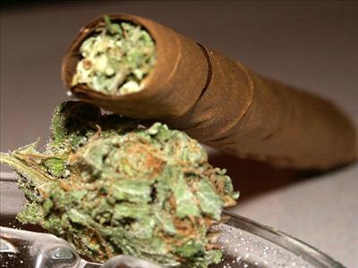 Got Blunt?