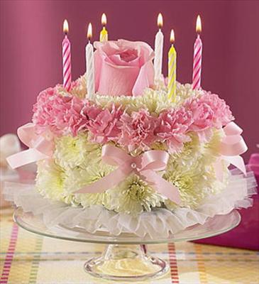 cake 2
