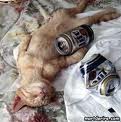 alcoolique